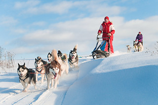 PRØV AT KØRE HUNDESLÆDE
