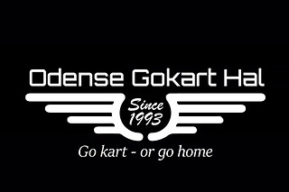 Gokart for 2 hos Odense Gokart Hal