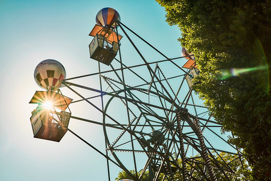 TIVOLI WILD CARD