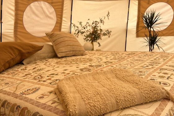 Usædvanlige ophold for 2 hos Glamping Homes hos Københavns Surfcenter