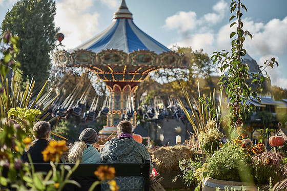 TIVOLI ENTRÉ - BARN