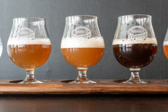 Ølsmagning med rundvisning hos Fredericia Brewpub