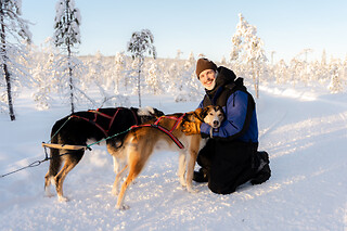 KØR HUNDESLÆDE FOR 2