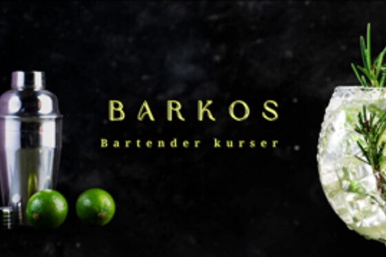 Cocktailkursus for 4 hos Barkos