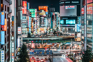 3 DAGES OPHOLD I TOKYO