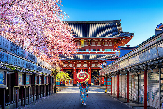 3 DAGES OPHOLD I TOKYO