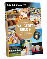 VALGFRI OPLEVELSE - VALGFRIT BELØB