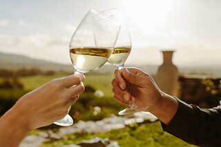 VINSMAGNING FOR 1 HOS VESTERHAVE VINGAARD