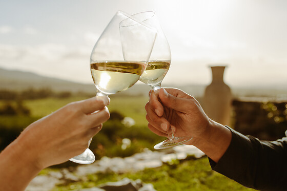 VINSMAGNING FOR 1 HOS VESTERHAVE VINGAARD