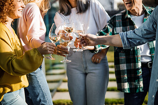 VINSMAGNING FOR 1 HOS VESTERHAVE VINGAARD