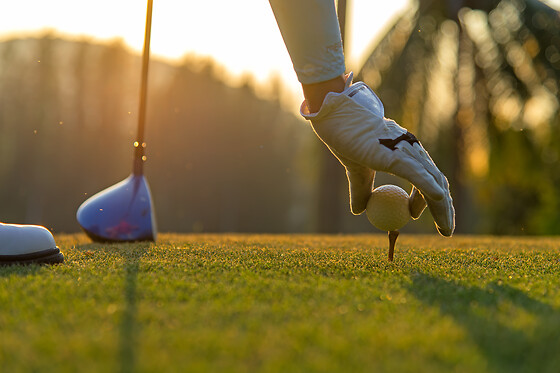 GOLFDAG MED EN PGA PRO