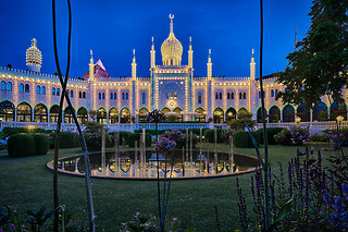 TIVOLI WILD CARD