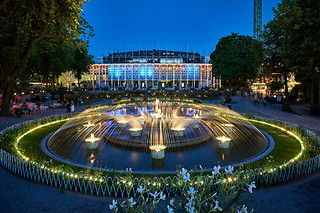 TIVOLI WILD CARD