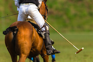 POLOSPILLER FOR EN DAG