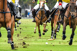 POLOSPILLER FOR EN DAG