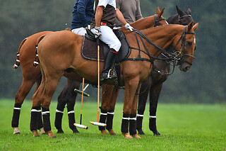 POLOSPILLER FOR EN DAG