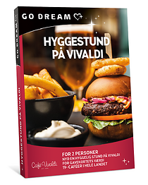 HYGGESTUND PÅ VIVALDI